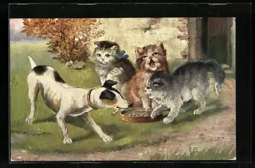 AK Drei junge Katzen verteidigen ihr Futter gegen einen Hund