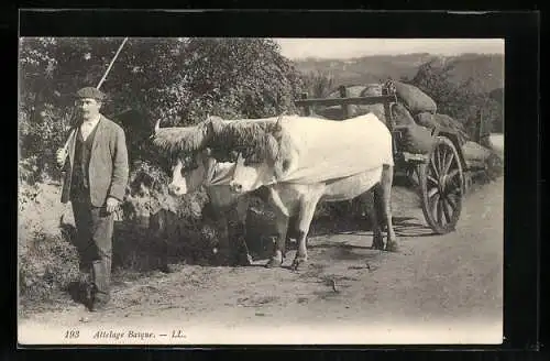 AK Baskischer Bauer mit Ochsen-Gespann