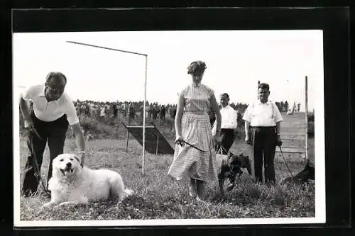 Foto-AK Vorführung von Hunden auf einem Freigelände, Hundeschau