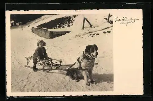 AK Kind auf Rodelschlitten, von Bernhardiner gezogen, Neujahrsgruss