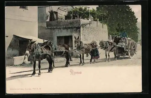 AK Riposo, Bauern mit Eselskutsche, Vierergespann