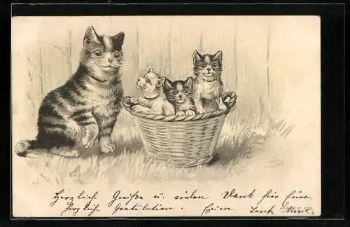 Lithographie Katze mit Jungen in Körbchen