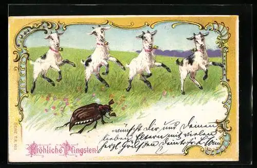 Lithographie Zicklein und Maikäfer tanzen auf der Wiese