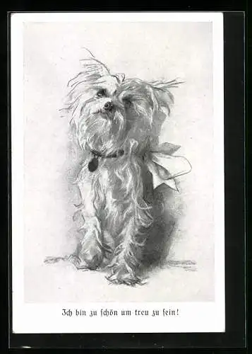 Künstler-AK Terrier mit treuem Blick