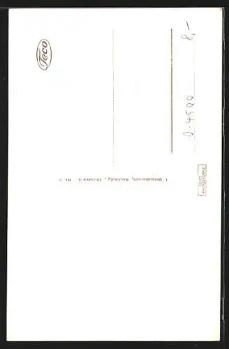 AK Dessau, Bus vor dem Rathaus