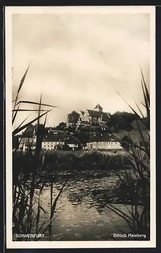 AK Schweinfurt, Blick auf Schloss Mainberg