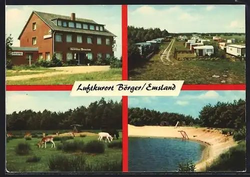 AK Börger /Emsland, Gasthof Zum Naturpark, Campingplatz, Wildgehege