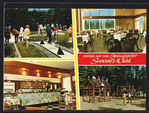 AK Surwold, Das Waldhotel mit Gaststube und Bar, Inh. B. Meyer, Minigolfanlage, Spielplatz