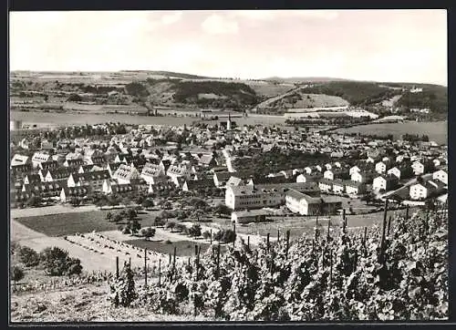 AK Hammelburg /Saale, Blick von den Weinbergen mit Schloss Saaleck