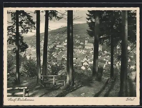 AK Bad Brückenau, Blick vom Waldesrand auf die Ortschaft