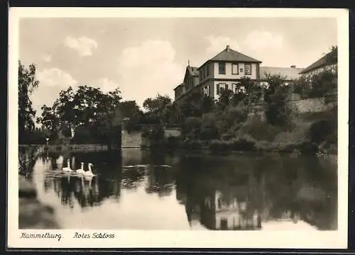 AK Hammelburg, Flusspartie am Roten Schloss