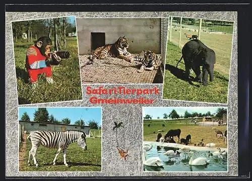 AK Gmeinweiler bei Welzheim, Safari-Tierpark Hudelmaier