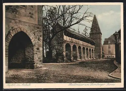 AK Zerbst in Anhalt, Stadtmauer am Dornburger Turm