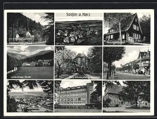 AK Seesen a. Harz, Forsthaus Neckelnberg, Burg Schusa, Naturfreundehaus und Ratskeller