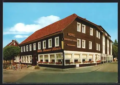 AK Braunlage /Harz, Hotel Brauner Hirsch und Gästehaus Herzynia