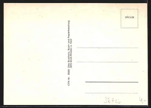 AK Rhüden am Harz, Frankfurter Strasse und Siedlung