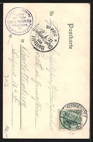 AK Wasserfall Steinerne Renne im Blumen-Passepartout