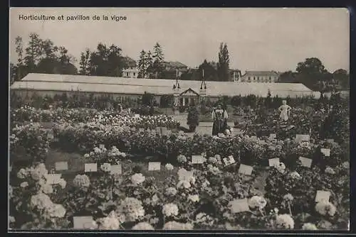 AK Lausanne, VIII. Exposition Suisse d`agriculture 1910, Horticulture et pavillon de la vigne