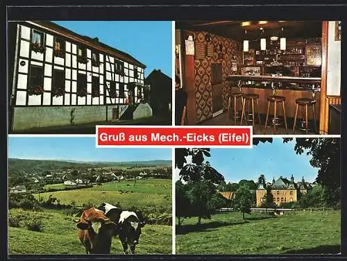 AK Mechernich-Eicks /Eifel, Gaststätte Fettweihs-Lux, Schloss