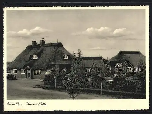 AK Wiesmoor / Ostfr., Gasthaus Blauer Fasan