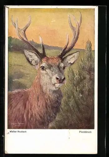 Künstler-AK Hirsch neben einem Tannenbaum