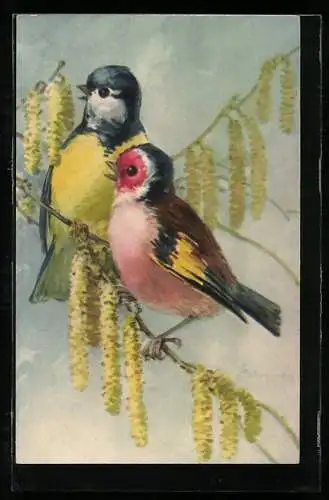 AK Meise und weiterer Vogel auf einem Zweig mit Troddeln