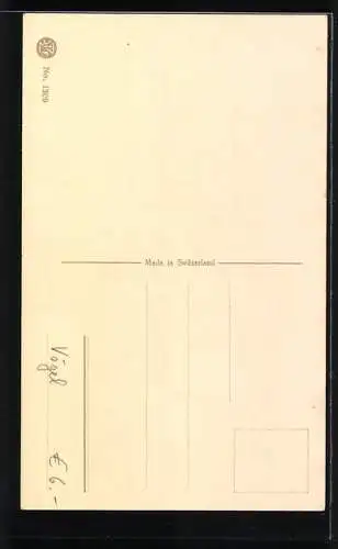 AK Zwei Bunte Vögel sitzen auf Zweigen
