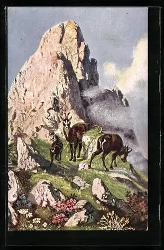 AK Bergziegen vor einem Gipfel