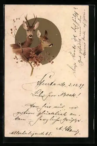 AK Rehpaar, Portrait