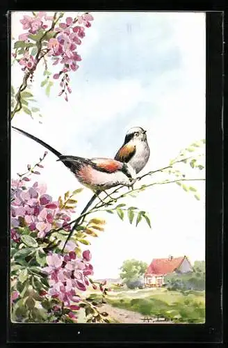 Künstler-AK Vogelpaar in Frühlingsidylle