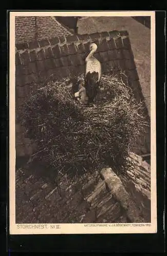 AK Storch mit Jungen im Nest auf einem Dachgiebel