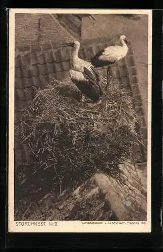 AK Storchenpaar im Nest auf einem Dachgiebel