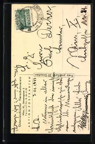 AK Kleines Mädchen mit Wolf im Wald, Österr. Tierschutzverein