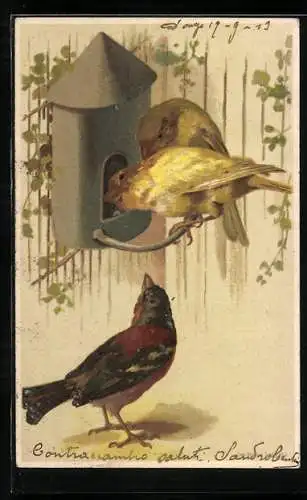 AK Vögel vor einem Futterhäuschen