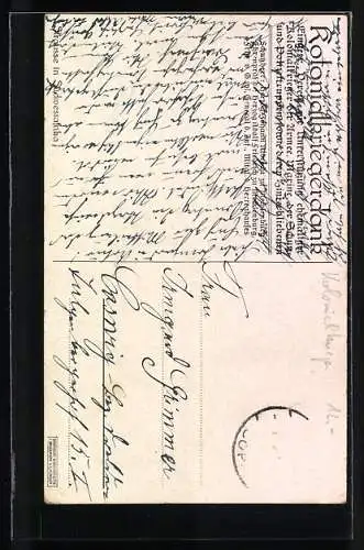 AK Strausse mit Nest in Südwestafrika