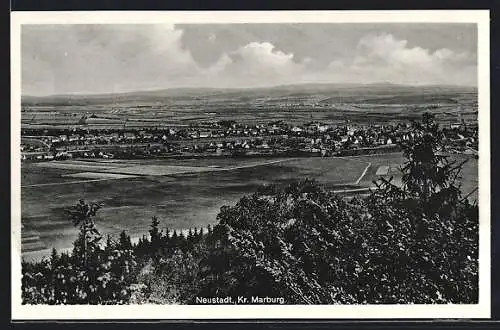 AK Neustadt /Kr. Marburg, Panorama