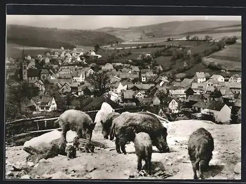 AK Oberndorf b. Bad Orb, Gaststätte Superstübchen, Bes. M. Muthig, Ortsansicht