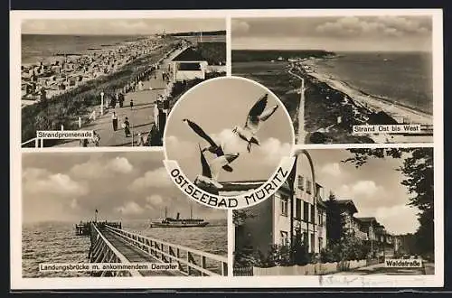AK Müritz, Waldstrasse, Landungsbrücke mit Dampfer, Strandpromenade