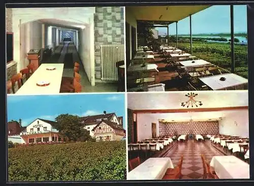 AK Mittelheim im Rheingau, Hotel-Rheinterrasse Ruthmann, mit Speisesaal, Wintergarten und Kegelbahn, Inh. Erich Vahle