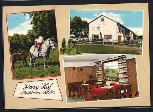 AK Stockheim /Rhön, Pony-Hof Oskar Müller, Innenansicht, Kind mit Ponys auf der Wiese