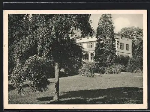 AK Bad Soden a. Taunus, Ansicht vom Garten des Rathauses