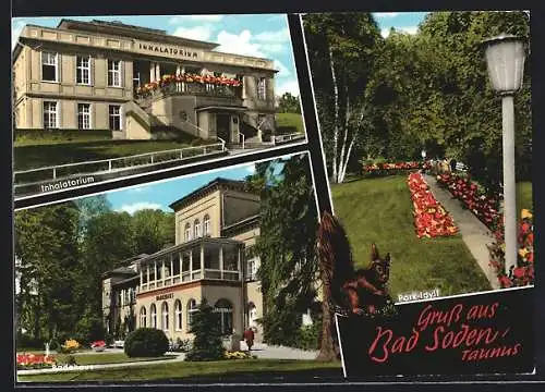 AK Bad Soden /Taunus, Inhalatorium, Badehaus, Eichhörnchen im Park