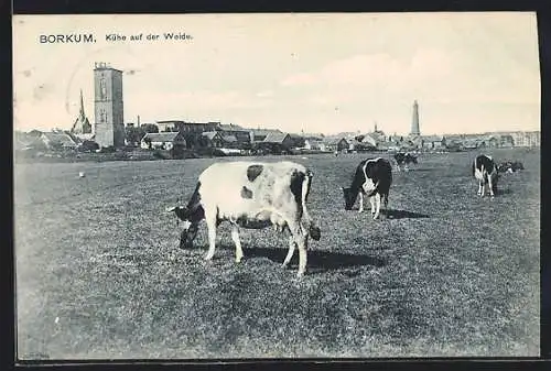 AK Borkum, Kühe auf der Weide und alter Leuchtturm