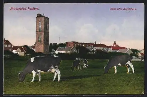 AK Borkum, Kühe grasen vor dem alten Leuchtturm