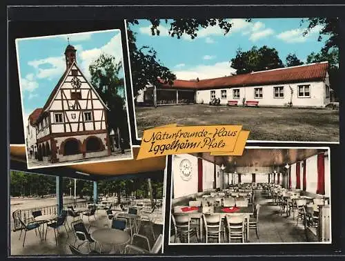 AK Böhl-Iggelheim /Pfalz, Gasthaus Naturfreunde-Haus