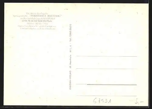AK Wachenheim /Pfalz, Das Gasthaus Forsthaus Rotsteig, mit Gaststube und Terrasse