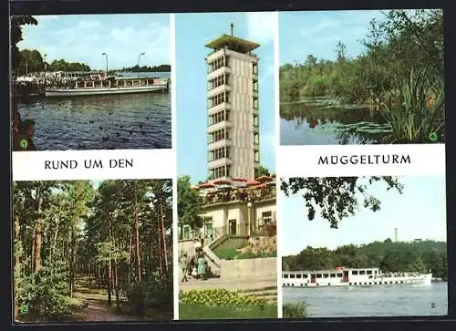 AK Berlin-Köpenick, Müggelturm, Müggelsee mit Fähre, Waldweg, Uferpartie