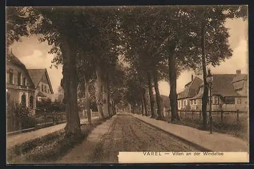 AK Varel / Oldenburg, Villen an der Strasse Windallee