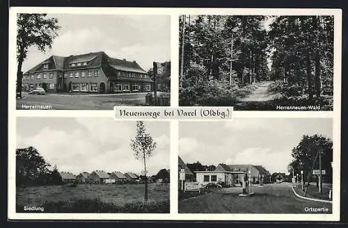 AK Neuenwege / Varel, Herrenneuen, Siedlung, Ortspartie