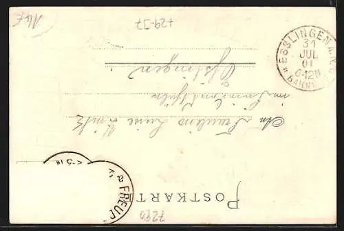 Passepartout-Lithographie Freudenstadt, Pavillon auf dem Marktplatz, Blick durch ein Fenster auf den Platz um 1900